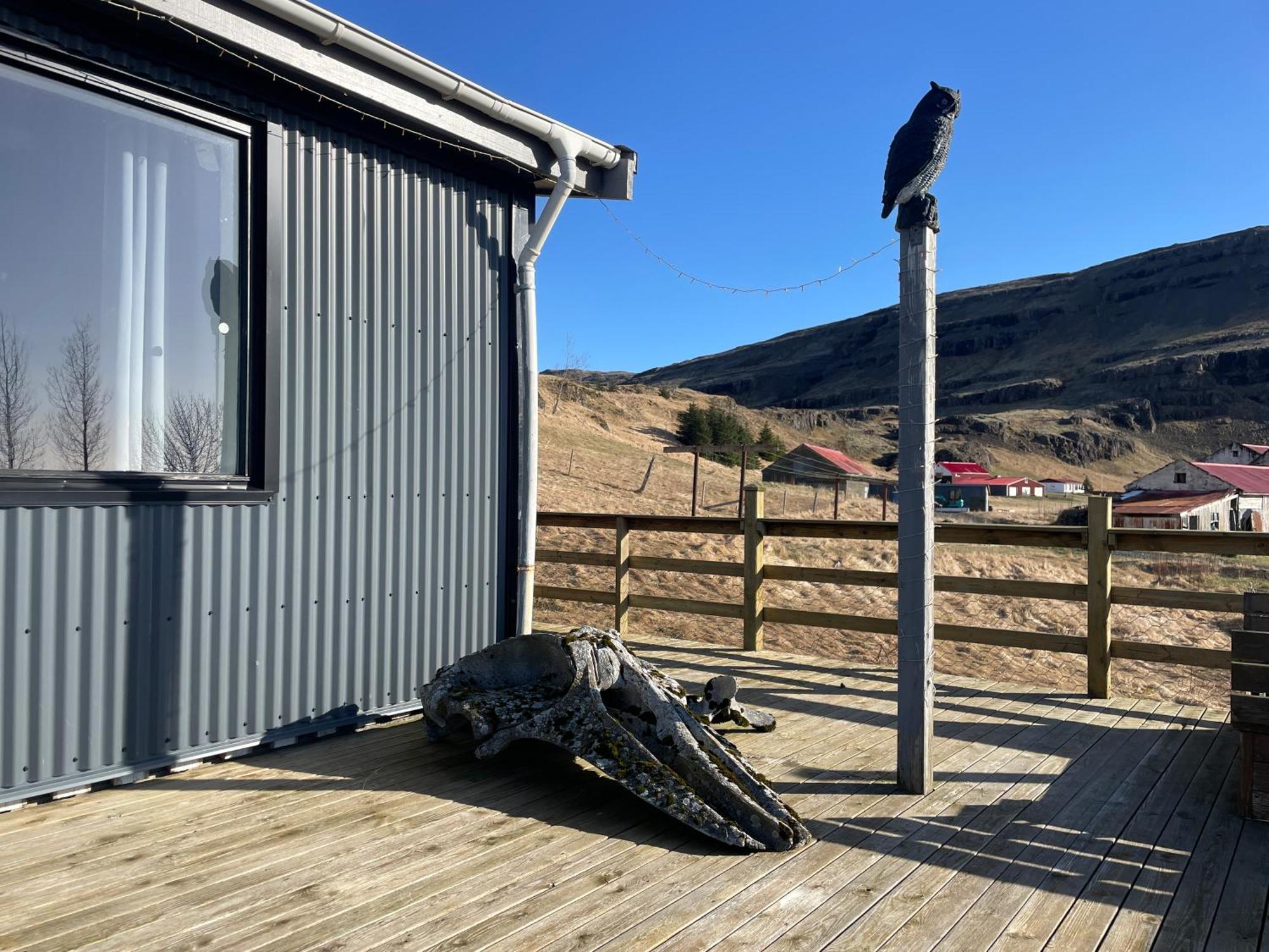 Lækjarhus Farm Holidays Borgarhöfn Eksteriør billede