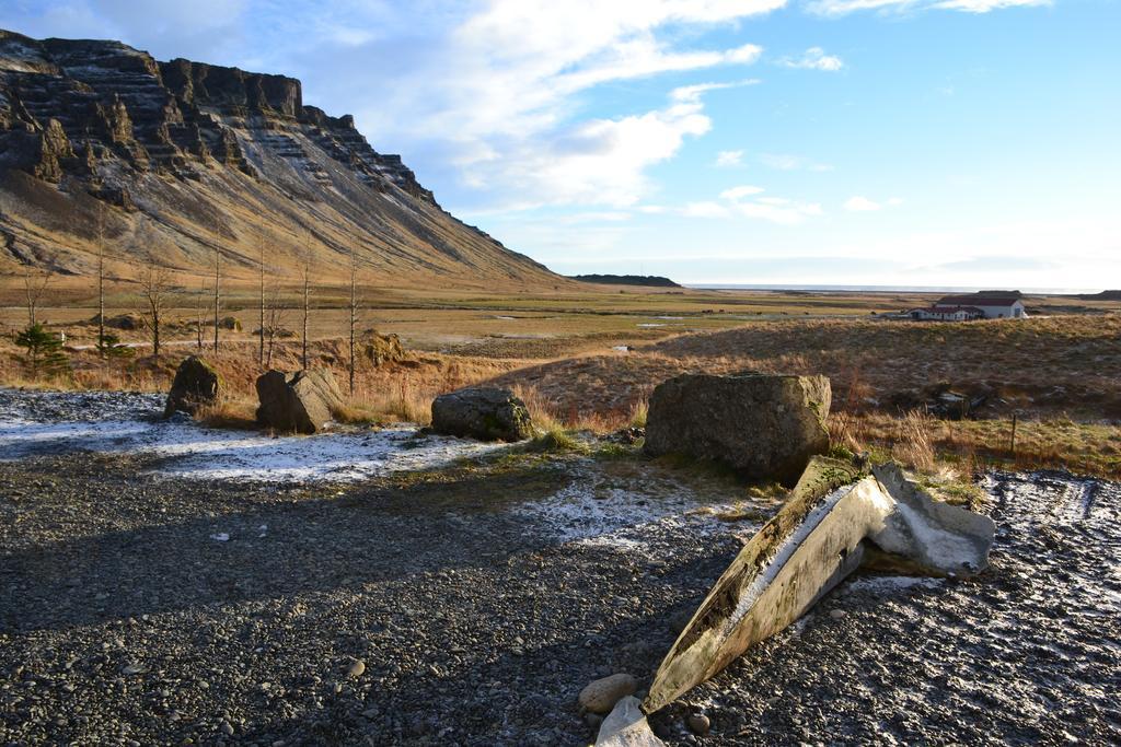 Lækjarhus Farm Holidays Borgarhöfn Eksteriør billede